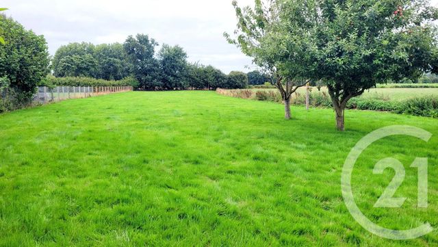 maison à vendre - 7 pièces - 134.87 m2 - MATIGNON - 22 - BRETAGNE - Century 21 Dufeil Invest